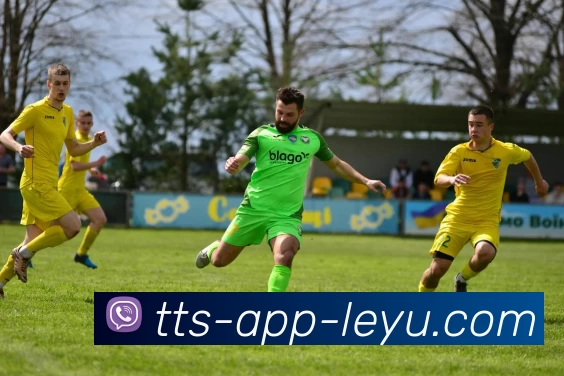 乐鱼官网发展历程